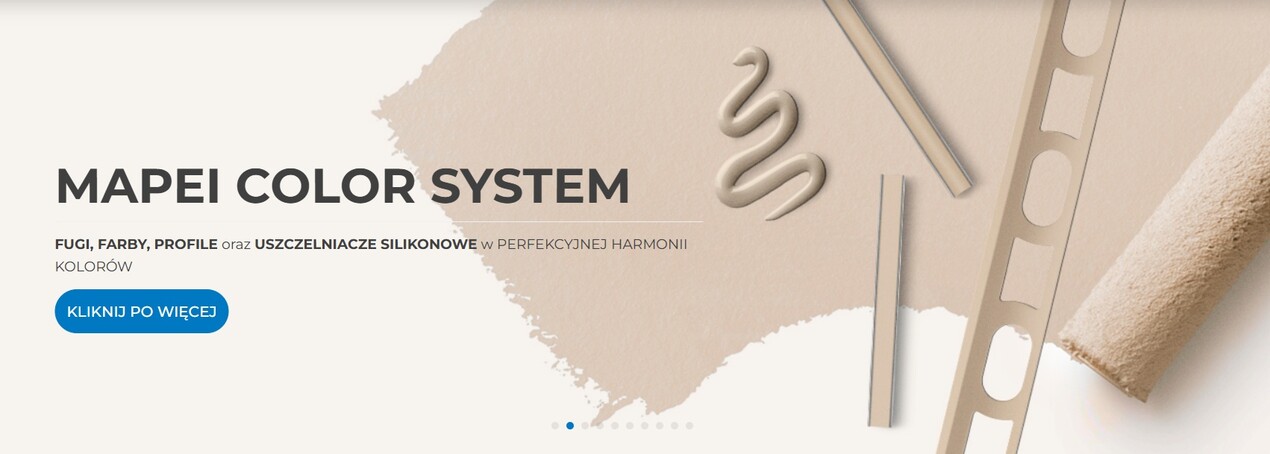 zdjęcie na stronie głównej